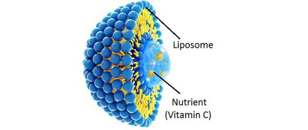 Lipozomálny vitamin C: schéma