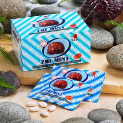 Zhi Mint Plus cukríky s Reishi 12x25g