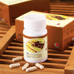 Cordyceps kapsule 60x450mg