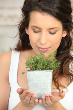 Havajská Spirulina